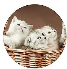 Round coasters