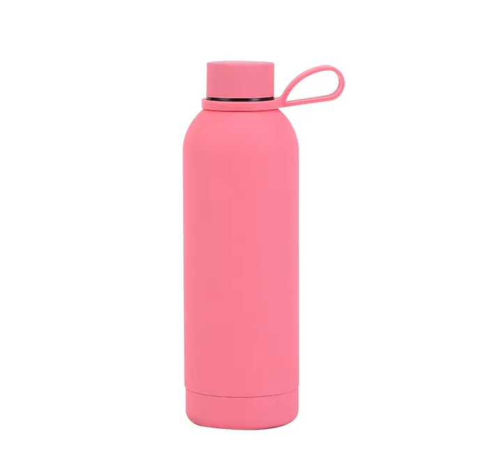 Insulated water bottle
